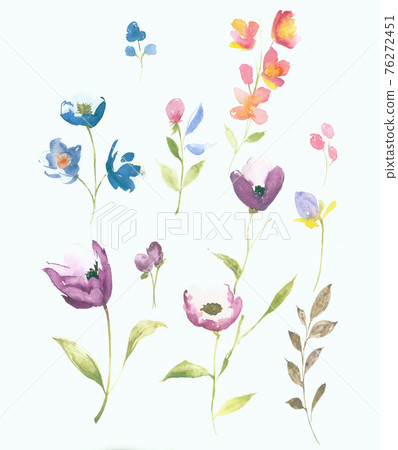  色彩豐富的花卉素材組合和設計元素 76272451