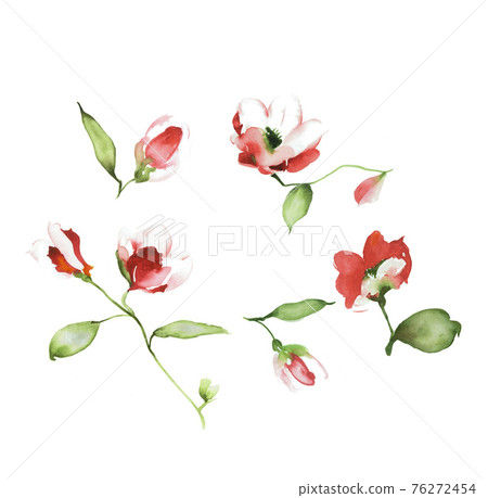  色彩豐富的花卉素材組合和設計元素 76272454