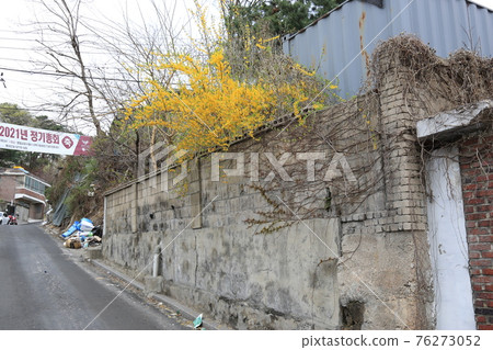 Jeongneungcheon. Cherry blossoms. Walking trail. Spring flowers. Stream 76273052