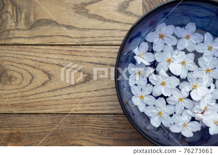 Cherry blossoms and a blue bowl filled with water Cherry blossoms and a blue bowl filled with water 76273661