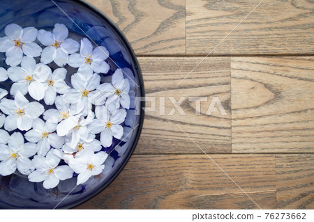 Cherry blossoms and a blue bowl filled with water Cherry blossoms and a blue bowl filled with water 76273662