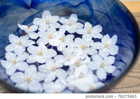 Cherry blossoms and a blue bowl filled with water Cherry blossoms and a blue bowl filled with water 76273663