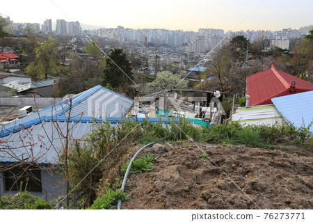 Jeongneunggol. Jeongneungcheon. Cherry blossoms. Alley. Spring flowers Jeongneunggol. Jeongneungcheon. Cherry blossoms. Alley. Spring flowers 76273771