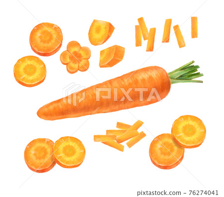 Carrots Cut carrots Hand-drawn illustrations 76274041