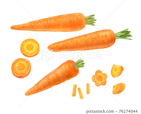 Carrots Cut carrots Hand-drawn illustrations 76274044