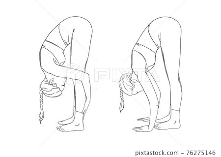 Stretching yogi woman. Hatha yoga forward fold pose variations. Vector illustration in white background Stretching yogi woman. Hatha yoga forward fold pose variations. Vector illustration in white background 76275146