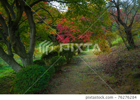 花與歷史的故鄉Janohana的秋天圖案 花與歷史的故鄉Janohana的秋天圖案 76276284