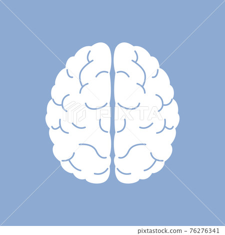 Brain illustration 76276341