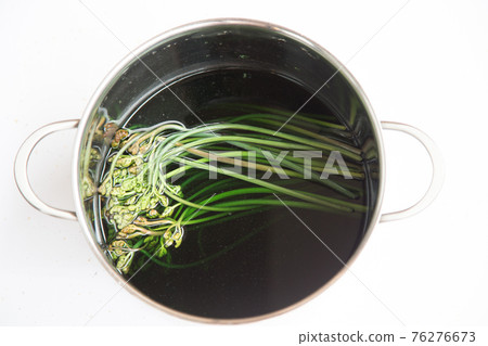 去除蕨菜鹼液(加入小蘇打煮一晚後) 去除蕨菜鹼液(加入小蘇打煮一晚後) 76276673
