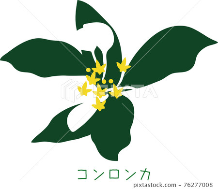Tropical Amami plant Konronka Tropical Amami plant Konronka 76277008