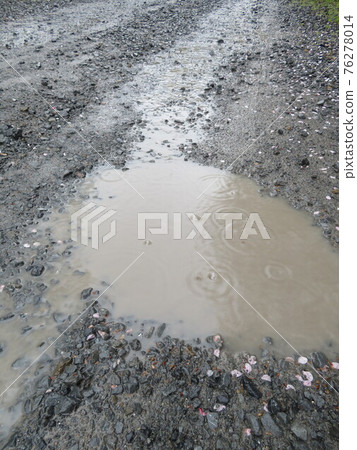 水坑、漣漪和雨痕 76278014
