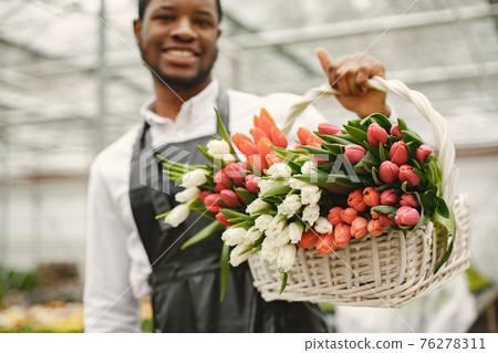 African guy with a basket of tulips in a greenhouse 76278311