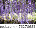 紫藤27 76278683
