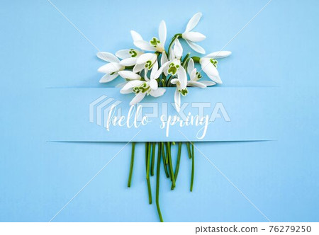 Greeting card text HELLO SPRING lettering with snowdrop flowers. Early spring flowers. Springtime. Fresh bouquet 76279250