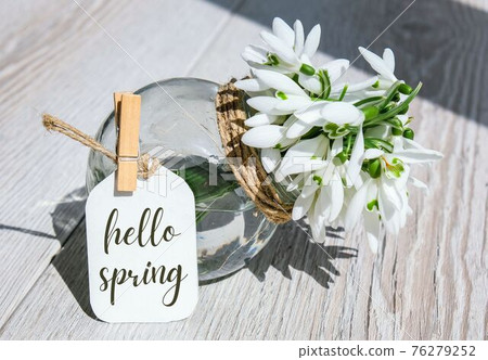 Greeting card text HELLO SPRING lettering with snowdrop flowers. Early spring flowers. Springtime. Fresh bouquet Greeting card text HELLO SPRING lettering with snowdrop flowers. Early spring flowers. Springtime. Fresh bouquet 76279252