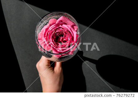 Wine glass filled with pink flower petalson table with black. Minimal modern still life. Holiday concept Valentines or womans day background design 76279272