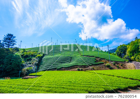 宇治茶村 76280054