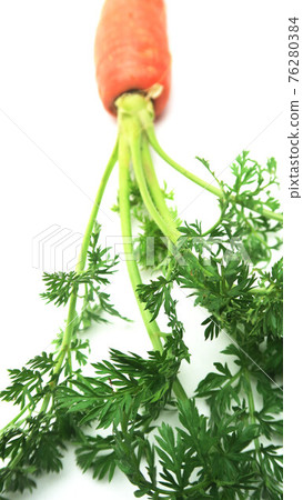 帶葉子的胡蘿蔔特寫照片 76280384