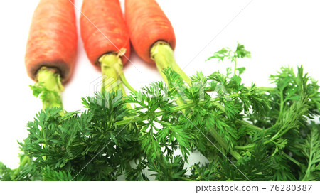 Close-up photo of carrots with leaves Close-up photo of carrots with leaves 76280387
