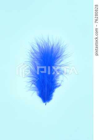 Beautiful blue bird feather flying against turquoise or mint color background with copy space. Minimal abstract composition. Conceptual realism. Selective focus Beautiful blue bird feather flying against turquoise or mint color background with copy space. Minimal abstract composition. Conceptual realism. Selective focus 76280828