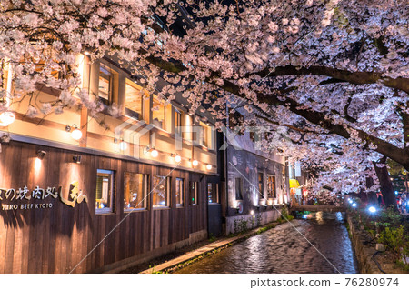 《Kyoto Prefecture》 Kiyamachi-dori night cherry blossoms / spring bar 《Kyoto Prefecture》 Kiyamachi-dori night cherry blossoms / spring bar 76280974