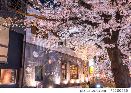《京都府》木屋町通夜櫻/春吧 76280986