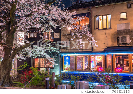 《Kyoto Prefecture》 Kiyamachi-dori night cherry blossoms / spring bar 76281115