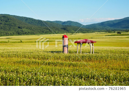 盛開的夏天蕎麥田的堀內町 盛開的夏天蕎麥田的堀內町 76281965
