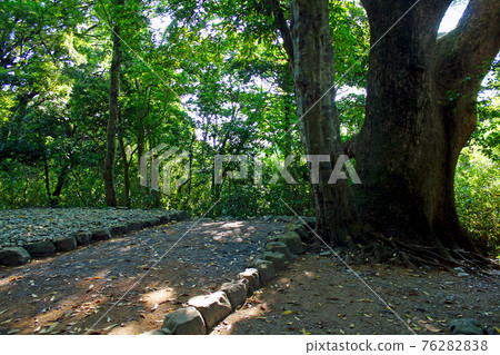 [Mie] Ise Jingu Bekkyu in early summer, the precincts of the lush Tsukiyomi-no-miya 76282838