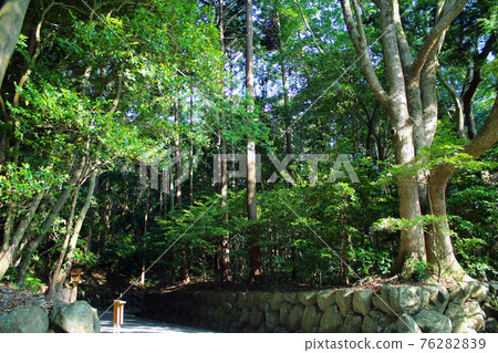 [Mie] Ise Jingu Bekkyu in early summer, the precincts of the lush Tsukiyomi-no-miya 76282839