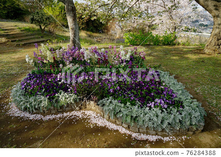 Spring flower bed Spring flower bed 76284388