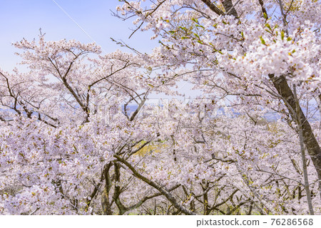 Kagoboyama in the northern part of Miyagi Prefecture 76286568