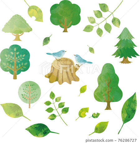 Summer green forest tree leaf small bird watercolor silhouette illustration material set Summer green forest tree leaf small bird watercolor silhouette illustration material set 76286727