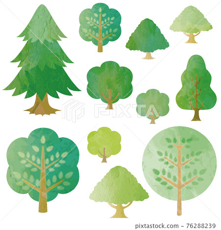 夏季綠色森林樹水彩剪影插圖素材集 76288239