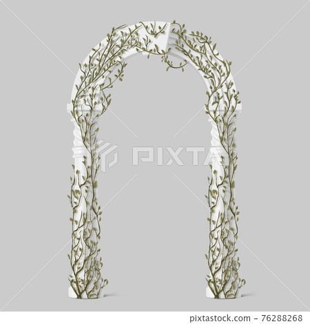 Green vines and flower stock illustration. Illustration of