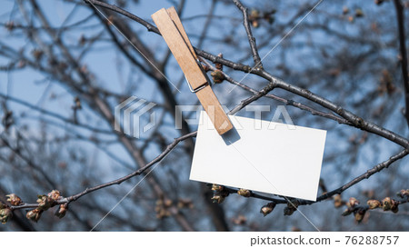 Memo write copy space card hanging pin spring tree Memo write copy space card hanging pin spring tree 76288757