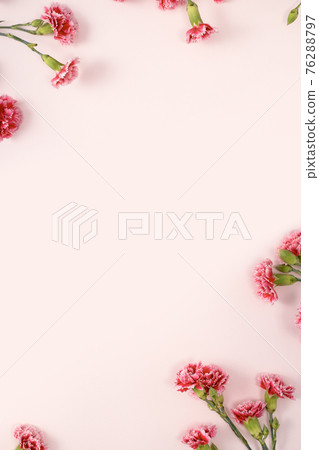 Carnation bouquet mother's day gift carnation Mother's Day 母の日 カーネーション Carnation bouquet mother's day gift carnation Mother's Day 母の日 カーネーション 76288797