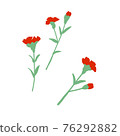 Carnation single item cut 76292882