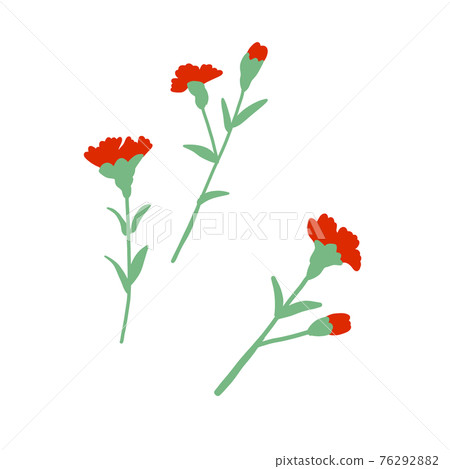 Carnation single item cut 76292882