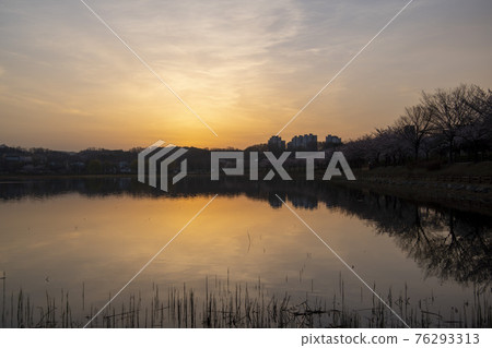 Sunrise Sunrise 76293313