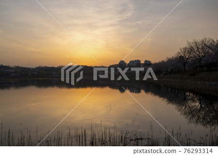 Sunrise Sunrise 76293314