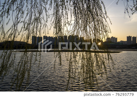 sunset sunset 76293779