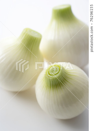新洋蔥 新洋蔥 76296155