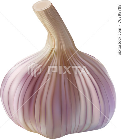 Realistic garlic bulb isolated on white. Vector Realistic garlic bulb isolated on white. Vector 76298788