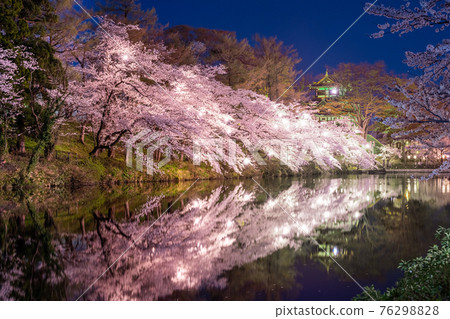 高田城跡公園的夜櫻 76298828