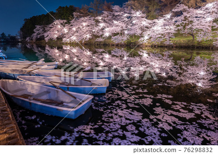高田城跡公園的夜櫻 76298832