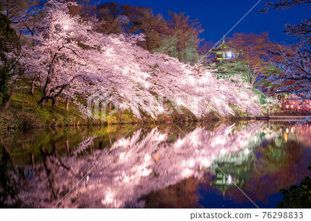 Night cherry blossoms in Takada Castle Ruins Park 76298833