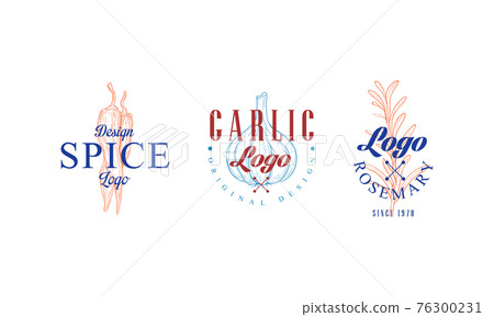 Set of Culinary Spices, Garlic, Rosemary Cooking Ingredients Badges Cartoon Vector Illustration 76300231