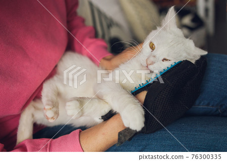 Man grooming cat with special gloves. Pet care. Man grooming cat with special gloves. Pet care. 76300335