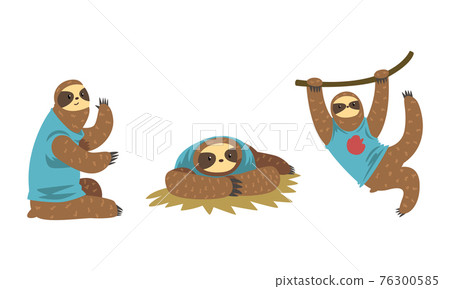 Sloth Character Set, Funny Slothful Tropical Animal in Various Poses Cartoon Vector Illustration 76300585